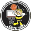 https://img.sdfna.com/img/basketball/team/e416830f4083698237c559f8988ddb25.png