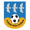 https://img.sdfna.com/img/football/team/259a1106a33b56d2bb3c458a62ffa2ea.png