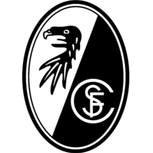 https://img.sdfna.com/img/football/team/6508946c9a5fe22a8784b905b25e8c79.png