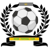 https://img.sdfna.com/img/football/team/6dc6d59af2f0962597b412473a6708ee.png